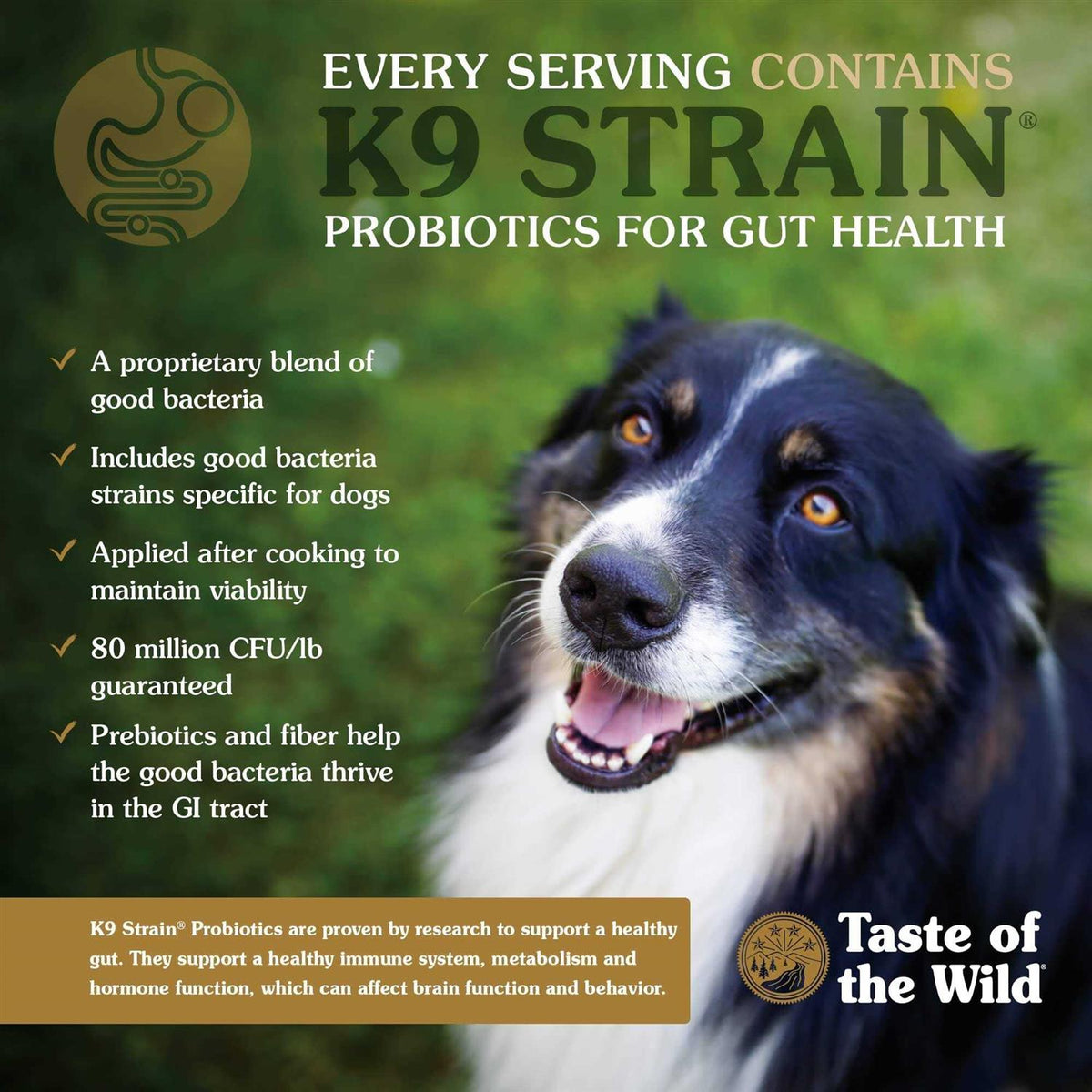 Dog Food M79017
