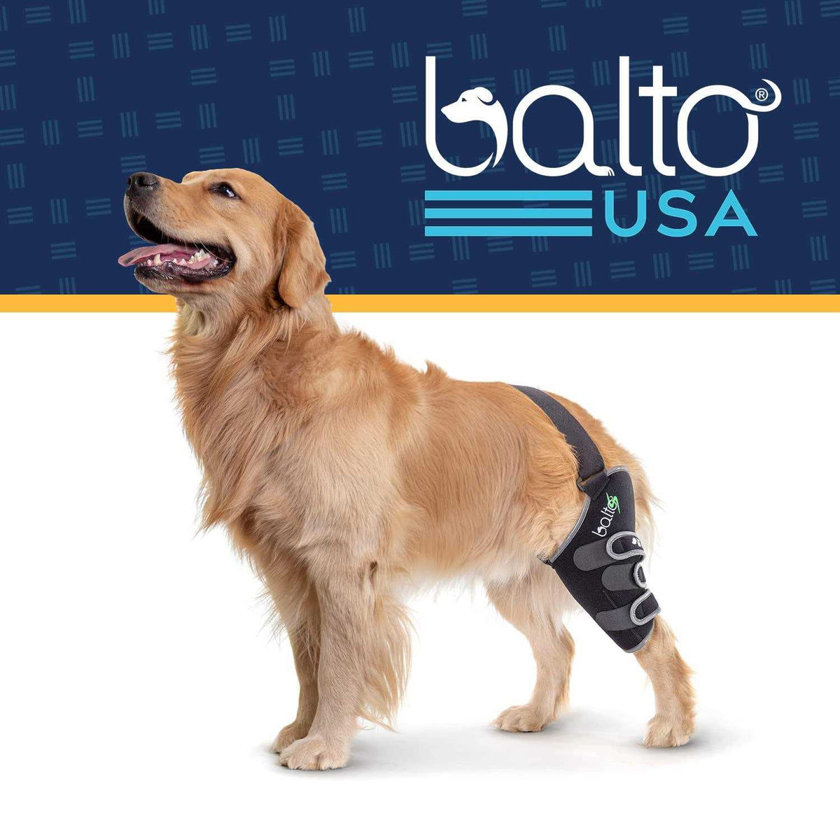 Knee Support for Dogs W152