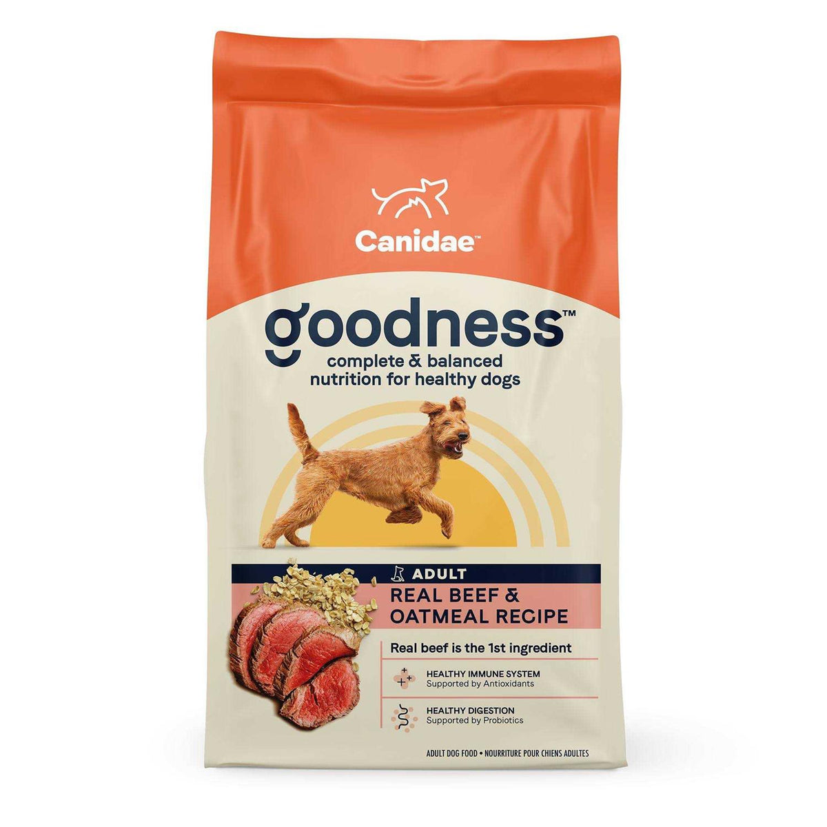 Adult Dry Dog Food Beef and Oatmeal S706850