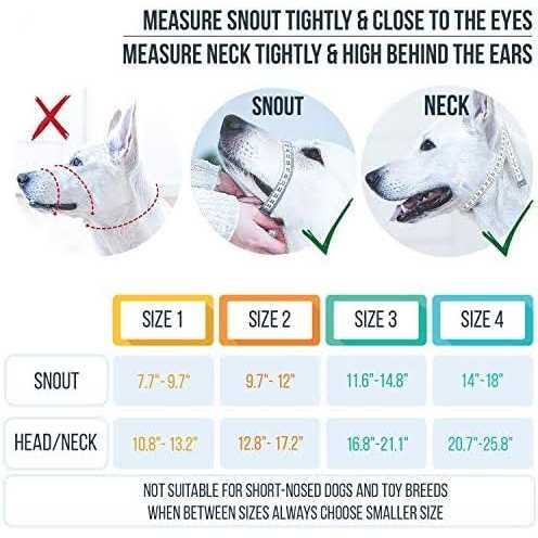 Dog Head Halter with Safety Strap Z29159
