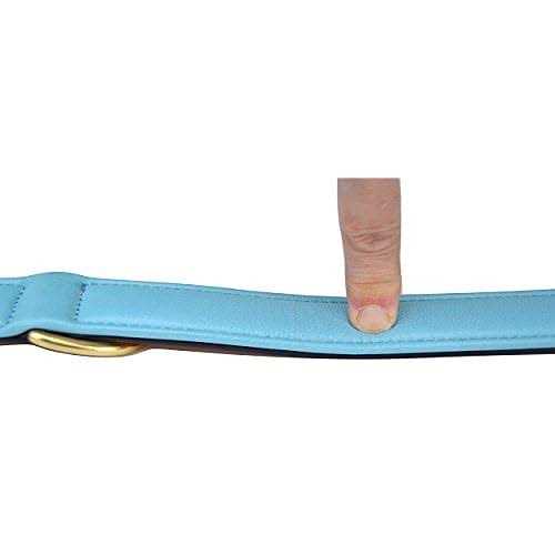 Leather Dog Collar Z829