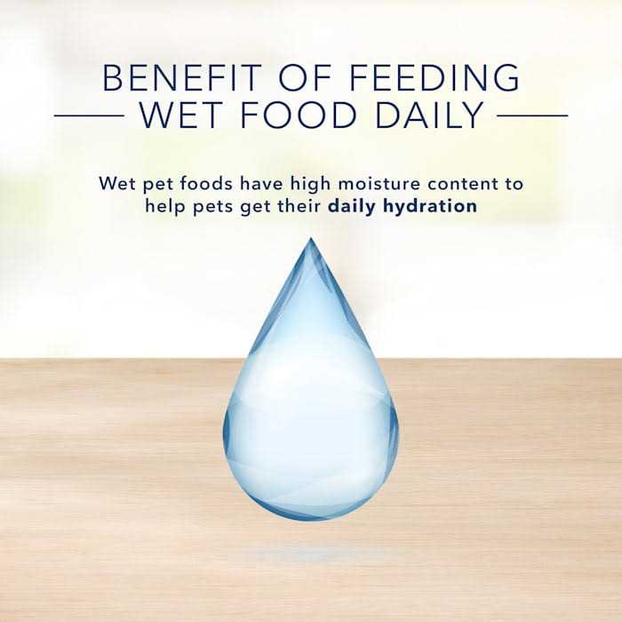 Adult Wet Cat Food W798