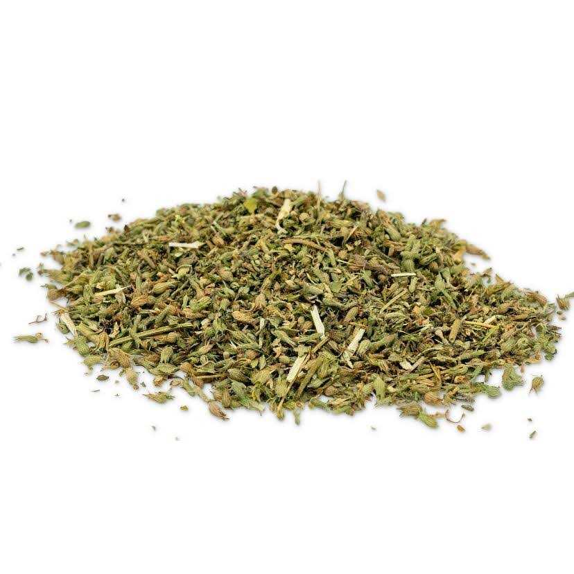 Catnip O81554