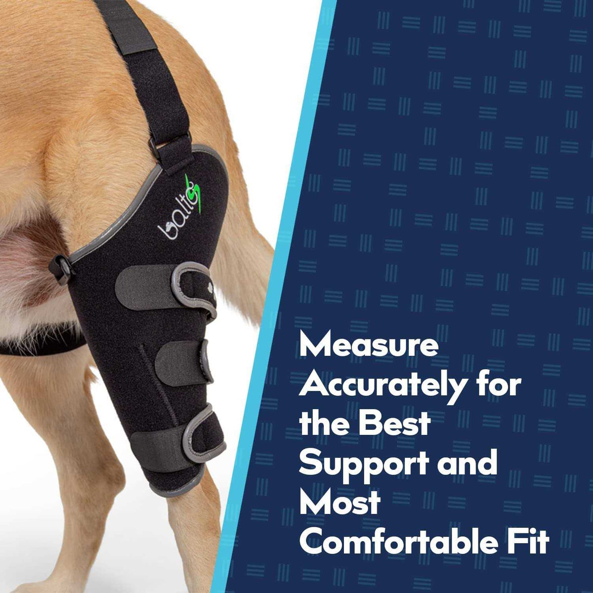 Knee Support for Dogs W152