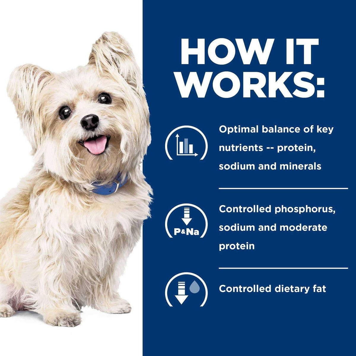 Chicken Flavor Dry Dog Food Q630156