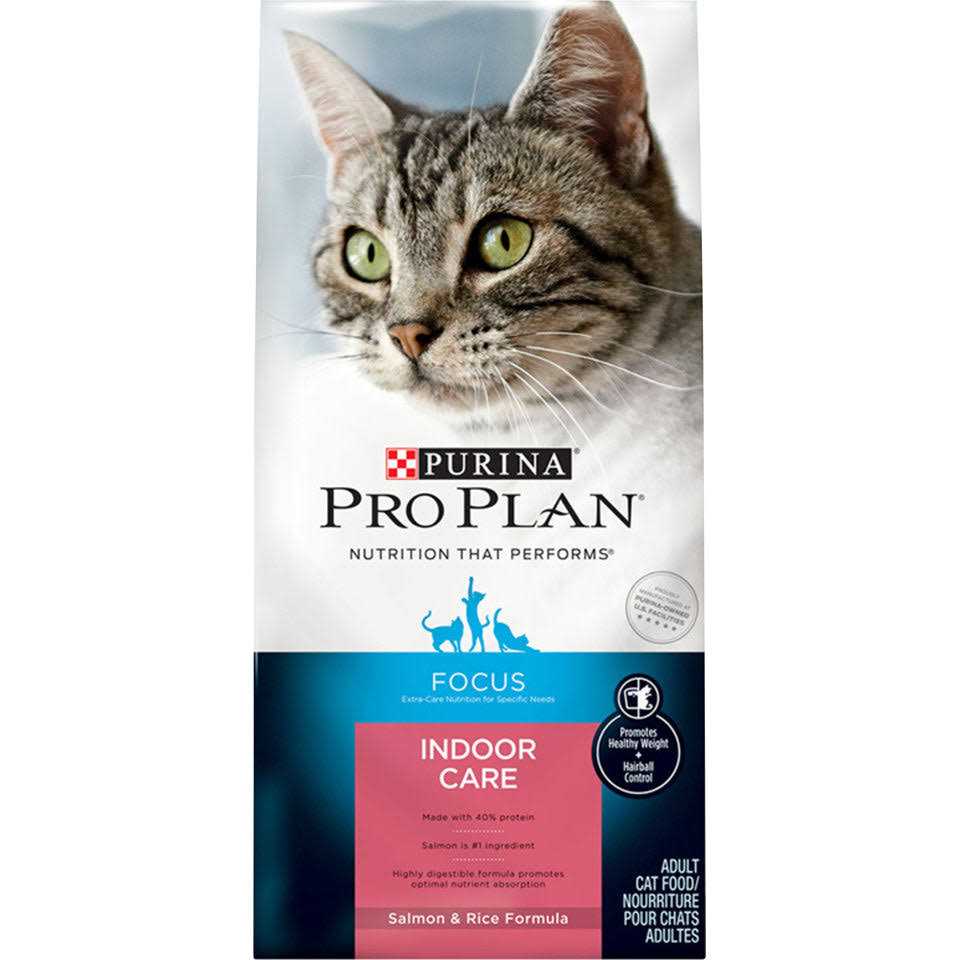 Indoor Salmon & Rice Cat Food R934