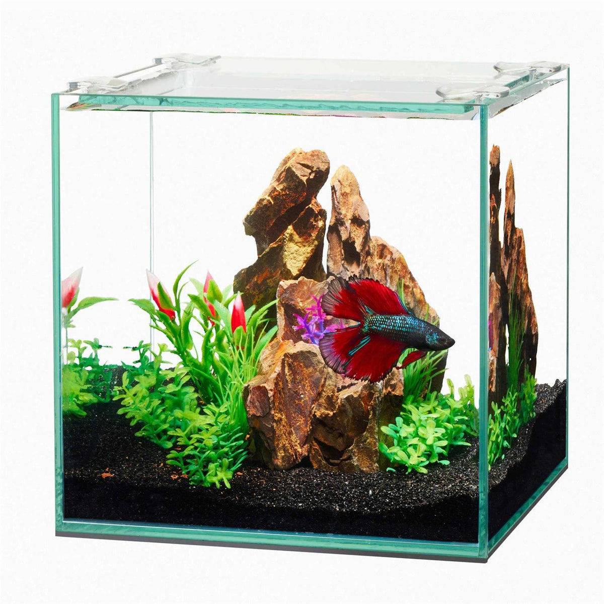 Frameless Cube Aquarium G434814