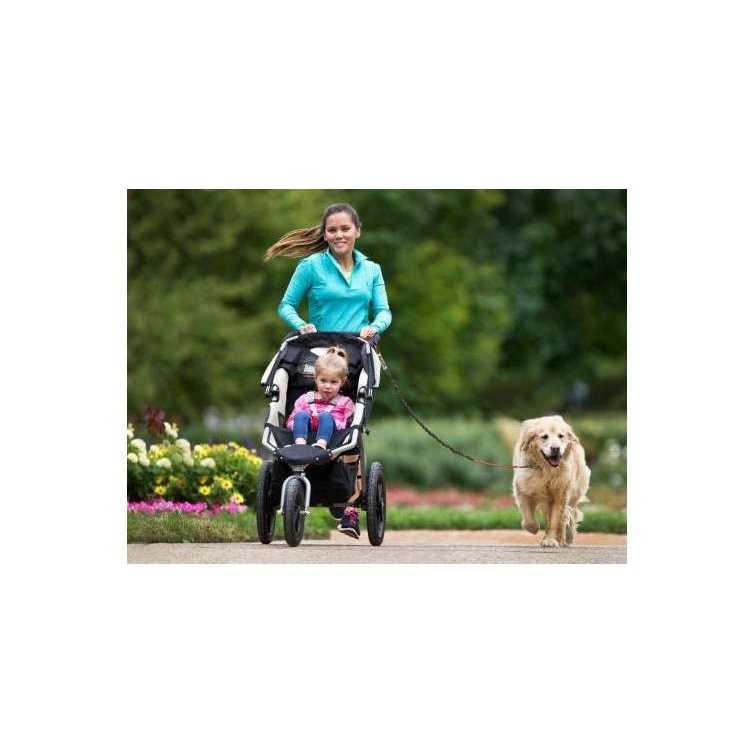 Hands Free Bungee Dog Leash H7680