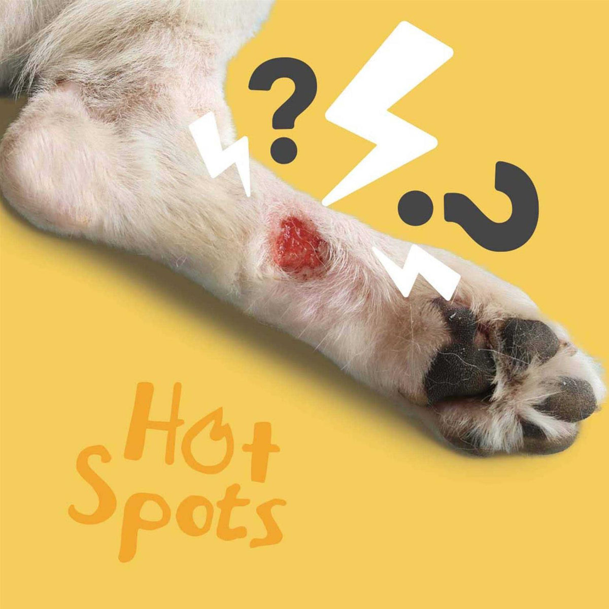 Hot Spot & Wound Care Spray Gel M2919