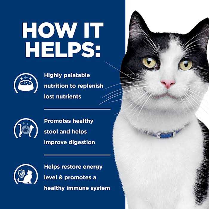 i/d Cat Nutrition V17161