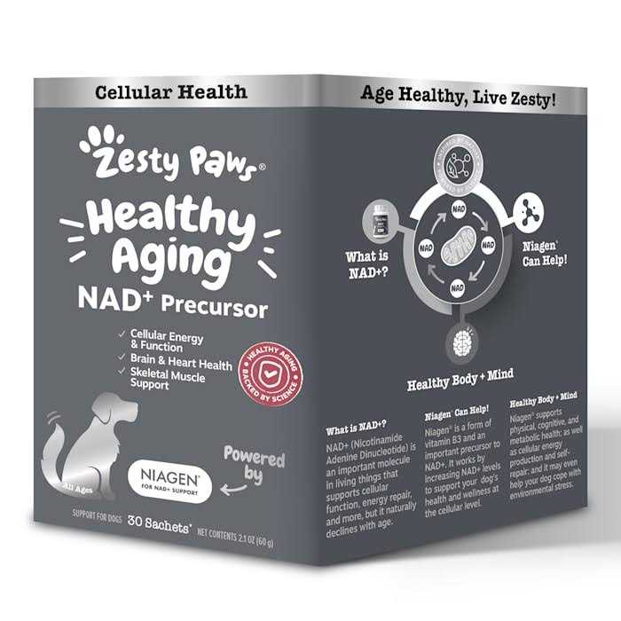 Healthy Aging Cellular Energy O5380