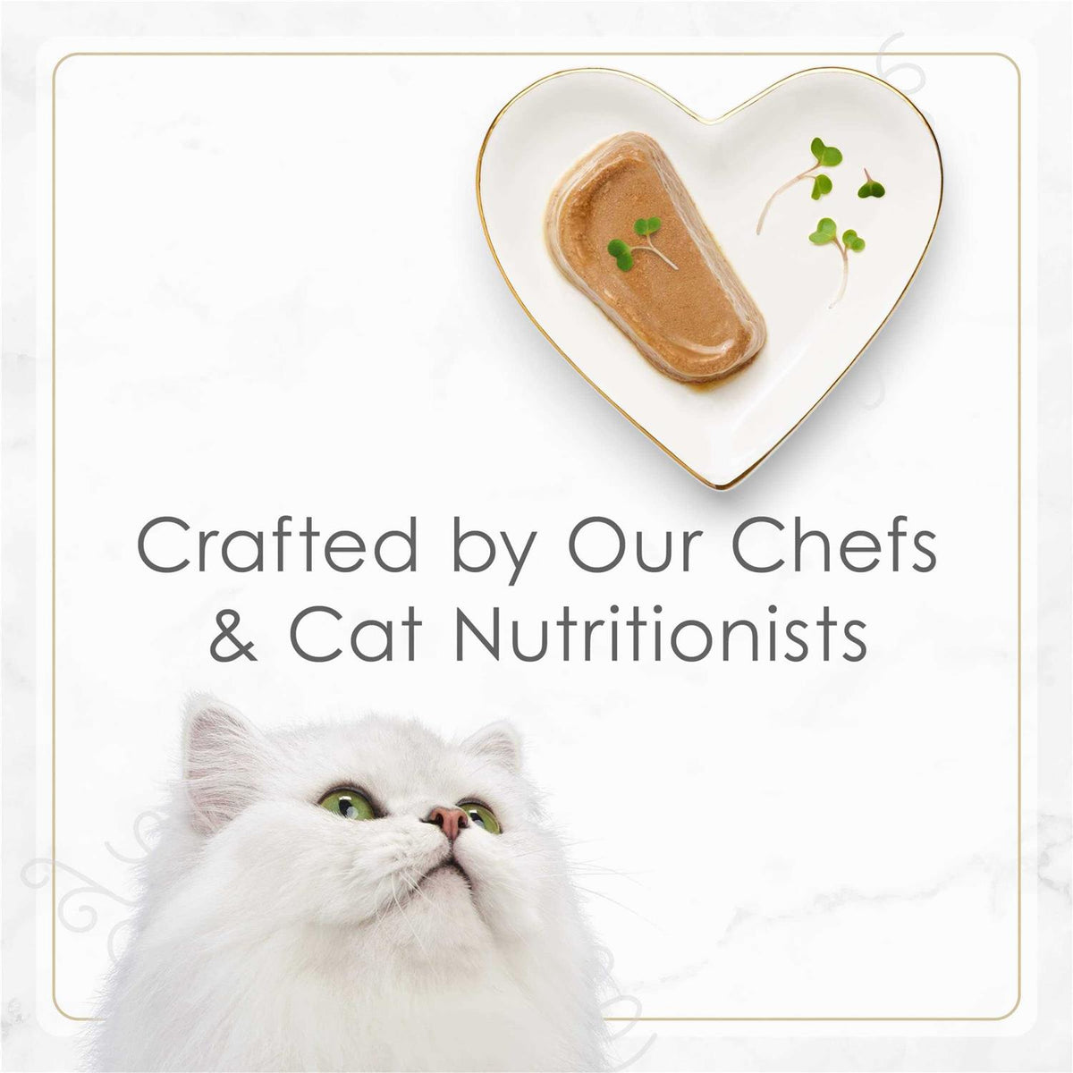 Tender Turkey Pate Wet Cat Food U93235