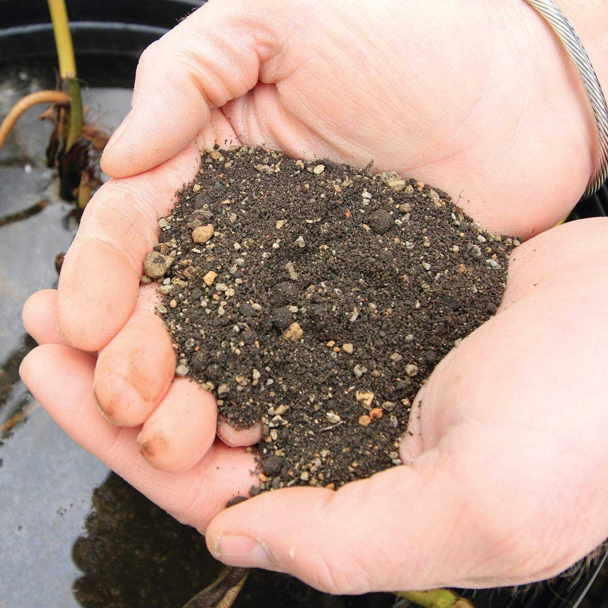 Pond Plant Potting Media T39651