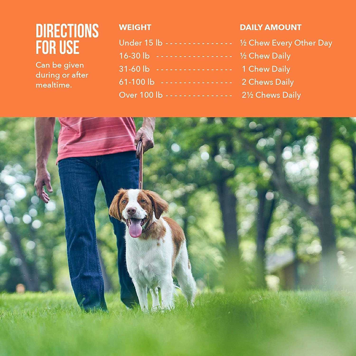 Joint Supplement Soft Chews for Dogs A35039