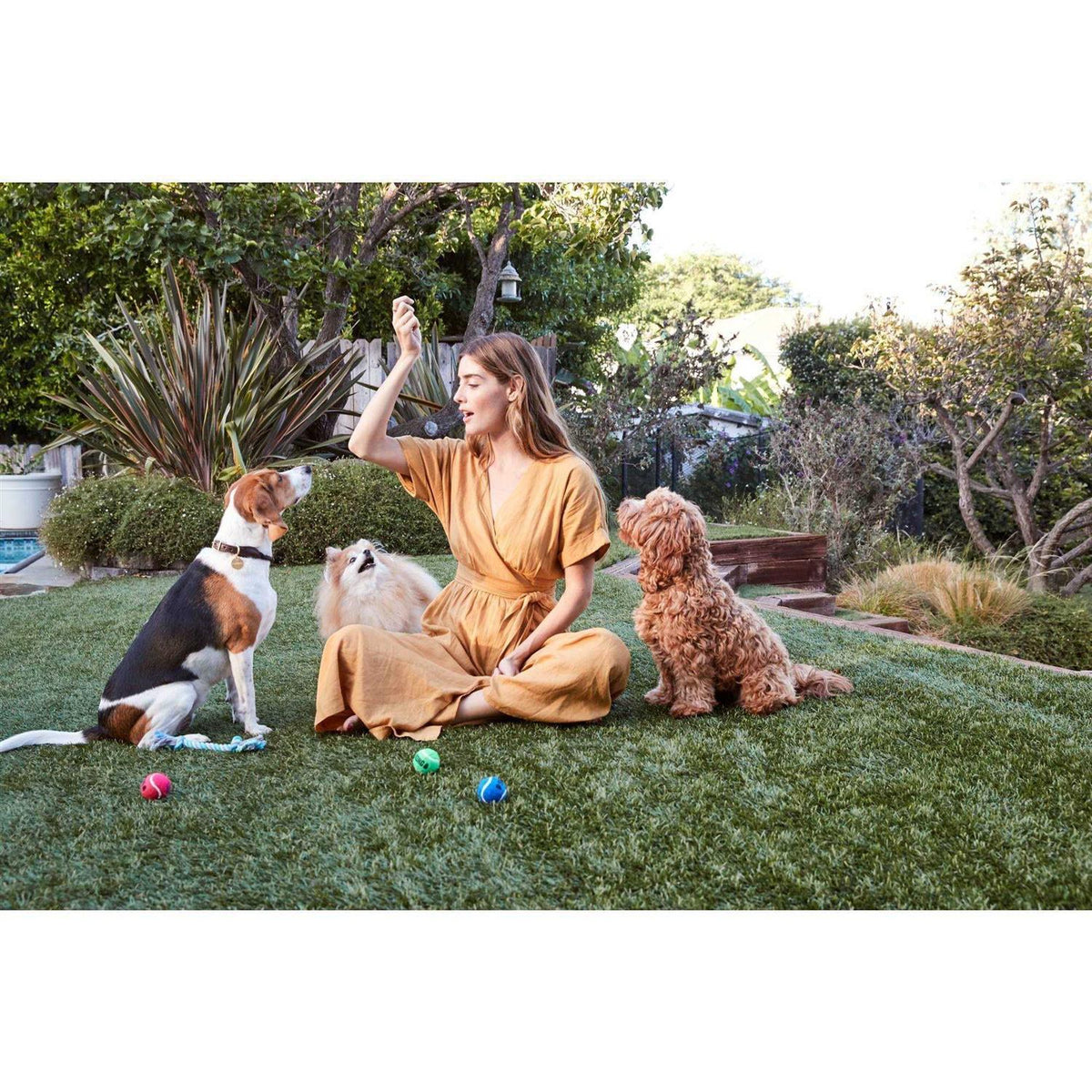 All Natural Chicken Jerky Dog Treats Y829