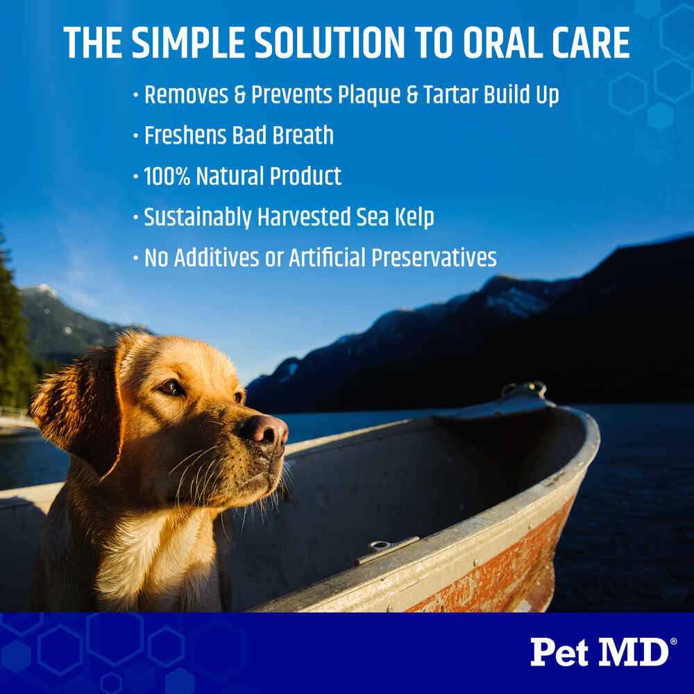 Dog Supplement For Healthy Teeth And Gums 60g I137413