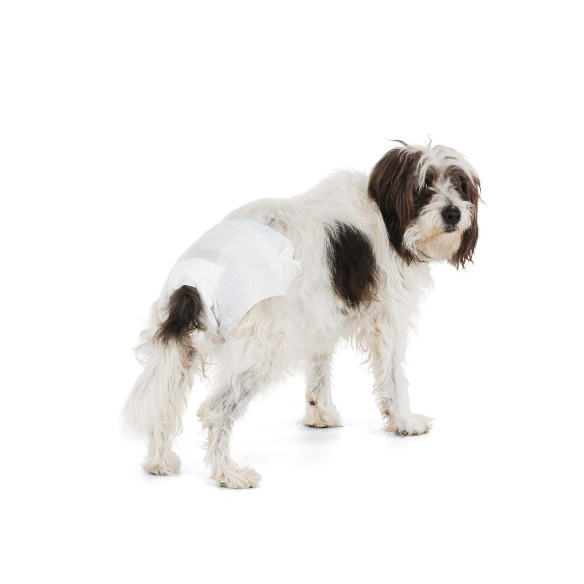 Disposable Pet Diapers O287