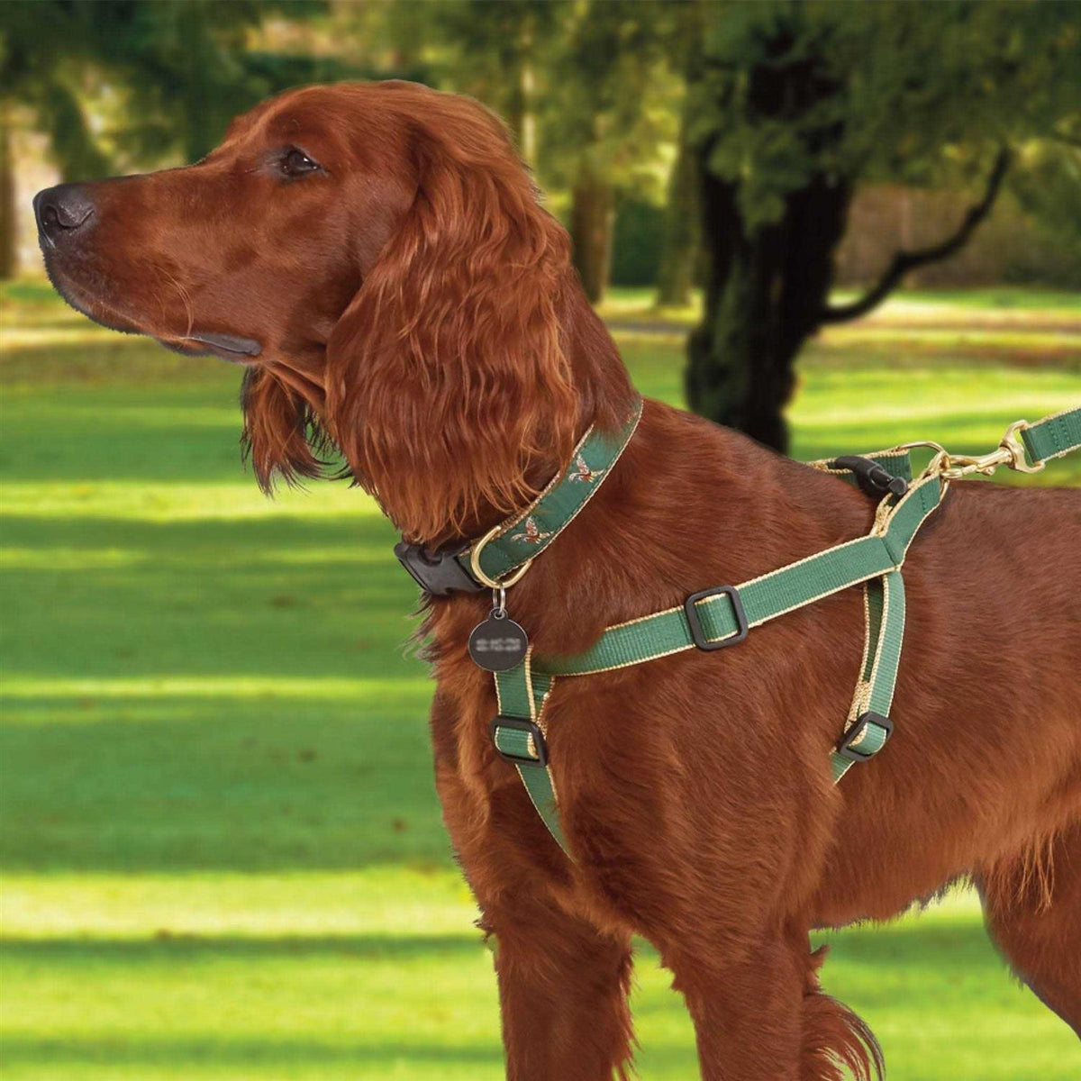 Dog Collar L838481