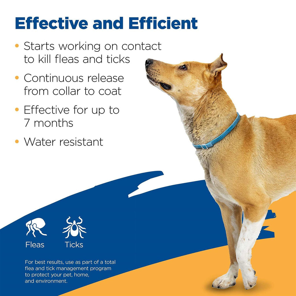 Flea Tick Collar for Dogs O831235