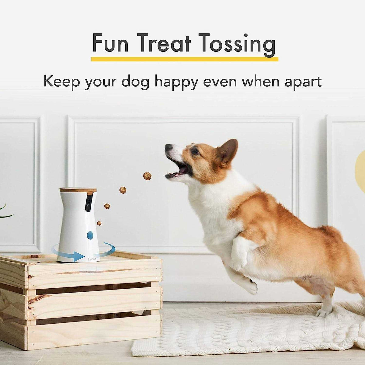 360° View Dog Camera P91584
