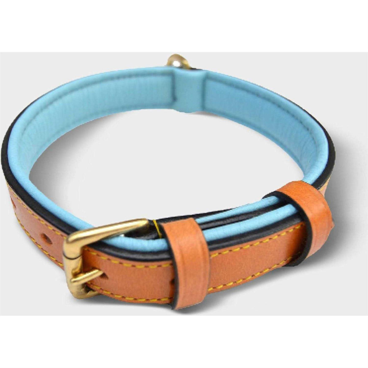 Leather Dog Collar Z829