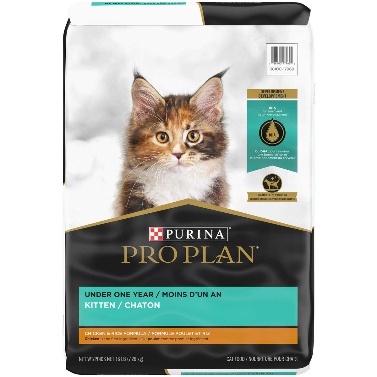 Kitten Dry Food Q102341