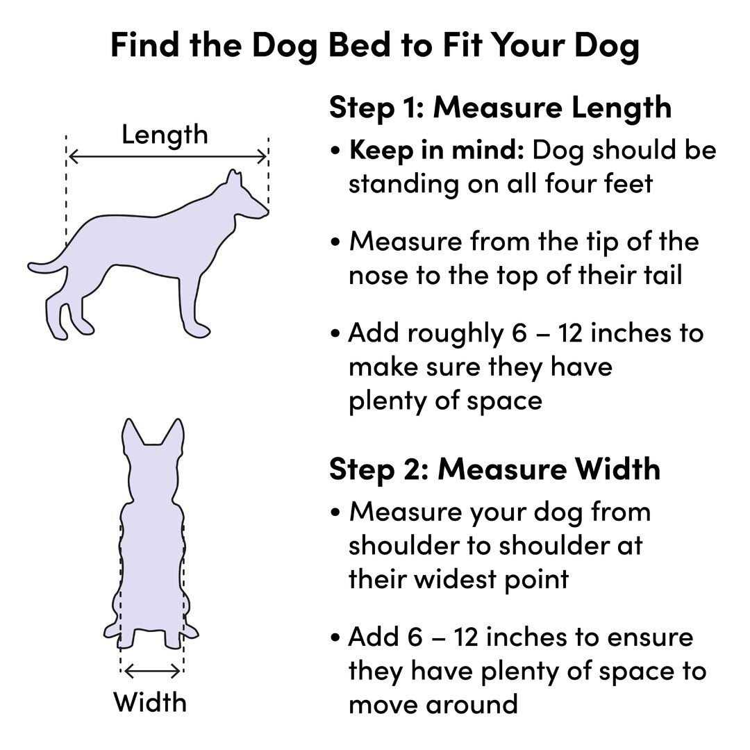 Pet Products Z7416
