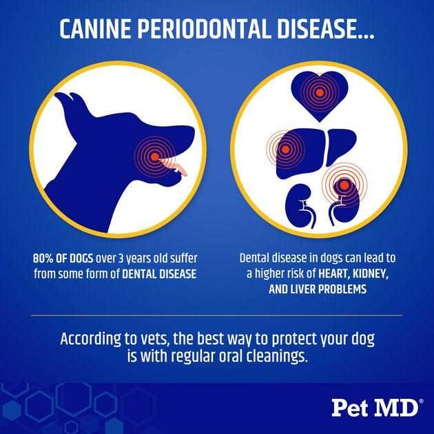 Dog Supplement For Healthy Teeth And Gums 60g I137413