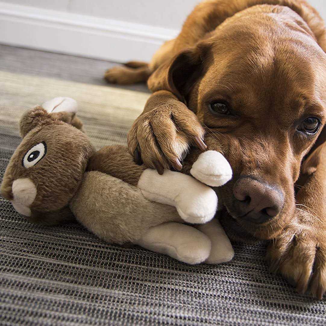 Rabbit Dog Toy B808760