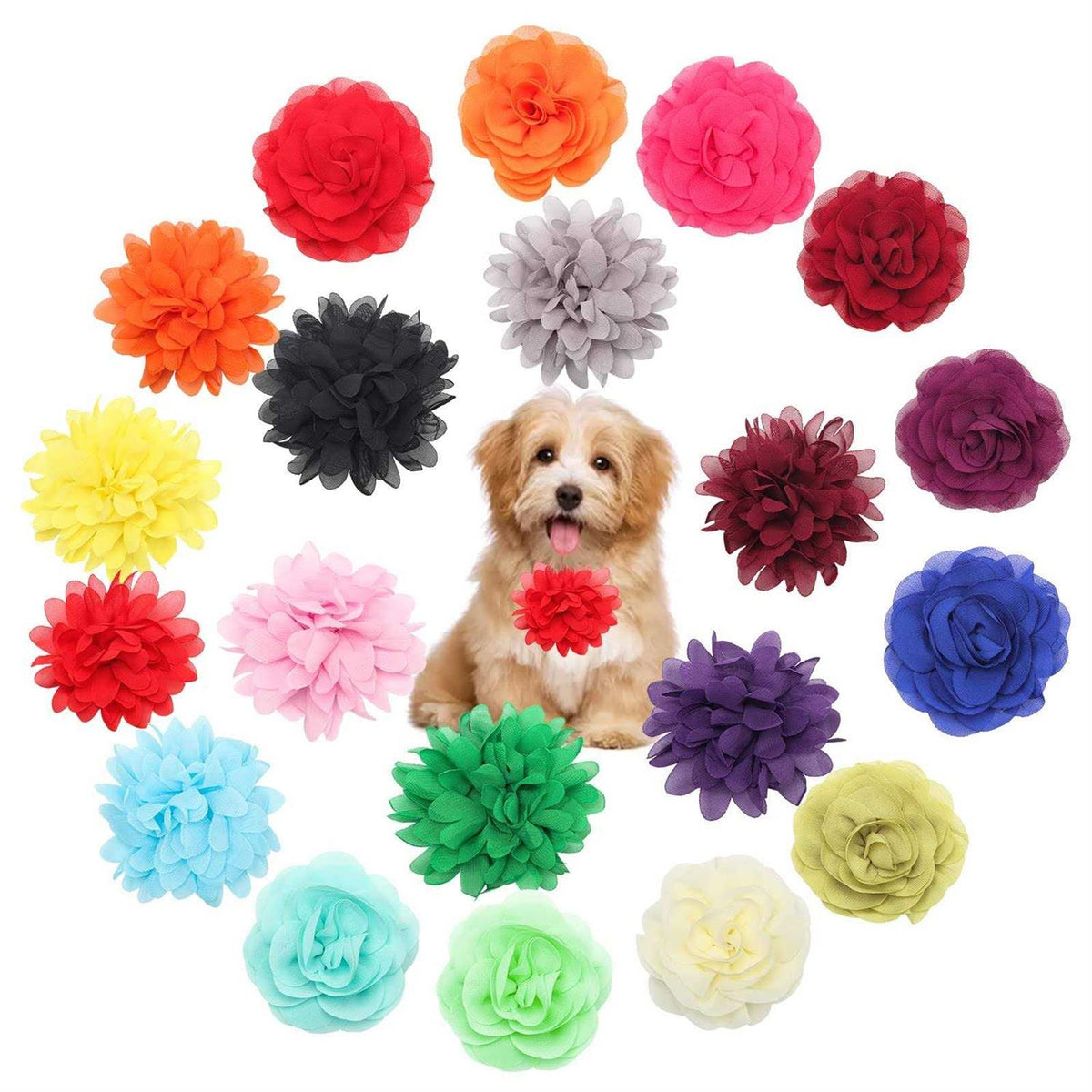 Multi-Color Soft Chiffon Dog Collar Accessory X874