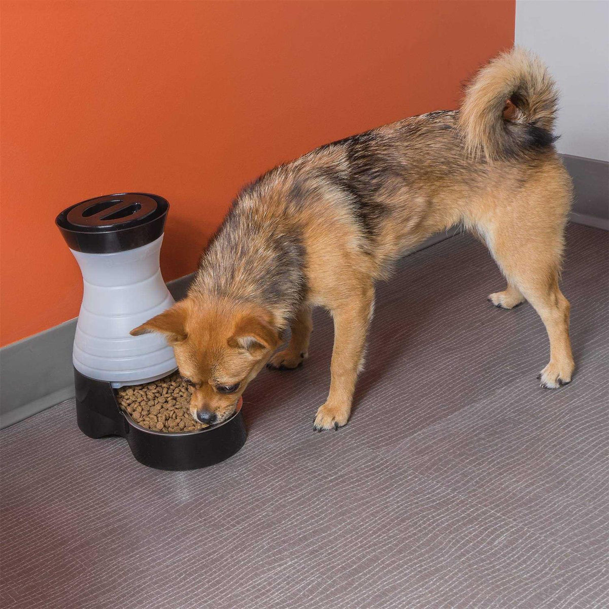 Healthy Pet Food Station Y95405