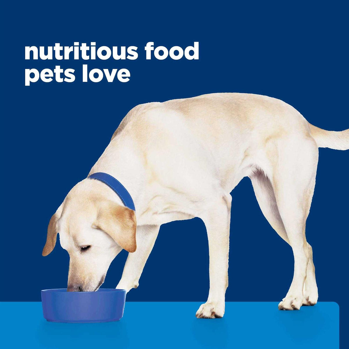 Duck Formula Canned Dog Food V675450