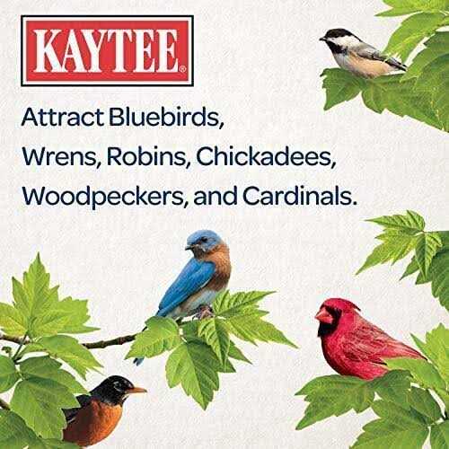 Nyjer Seed Wild Bird Food D689