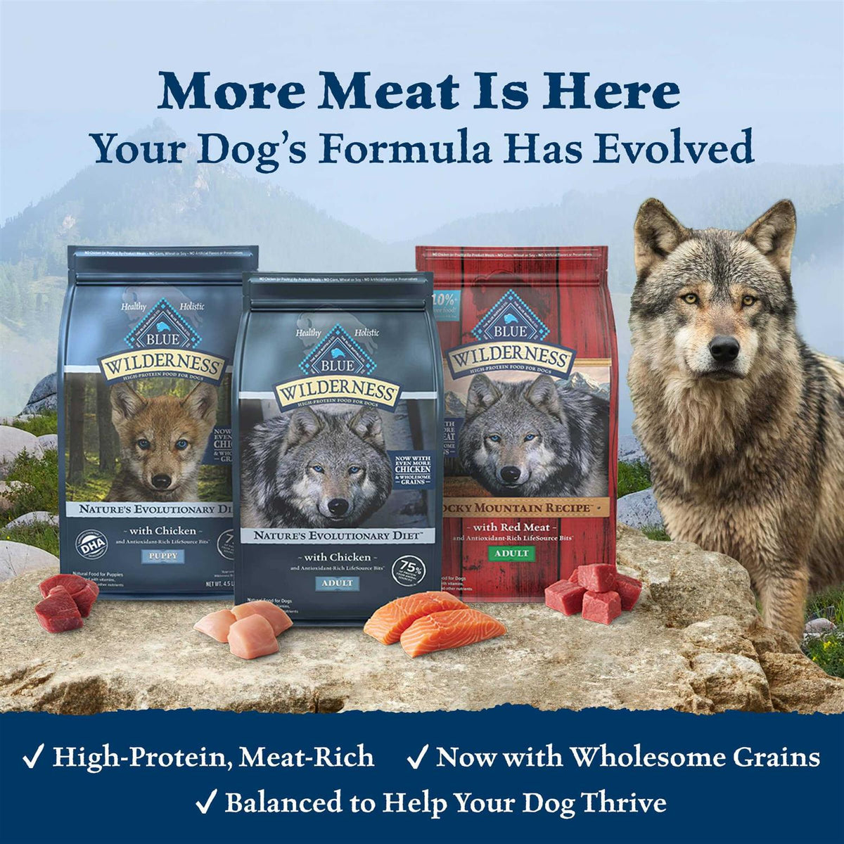 Dog Food A188
