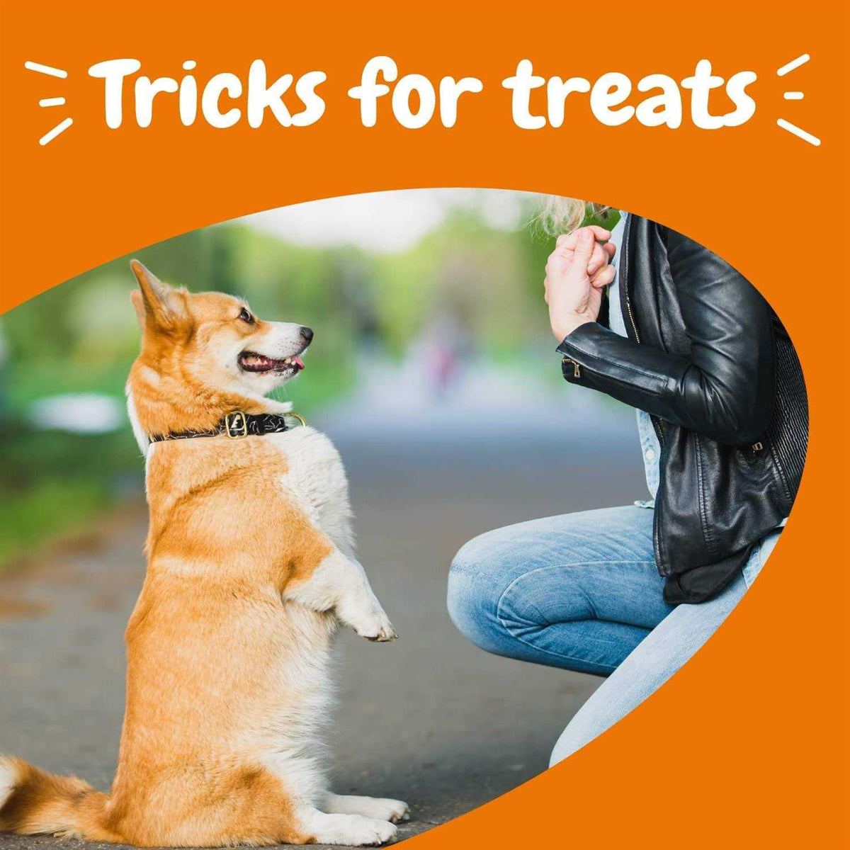 Training Treats for Dogs W1230