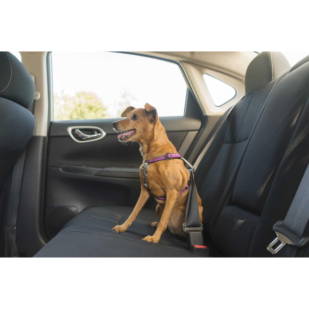 3 in 1 Harness I27500