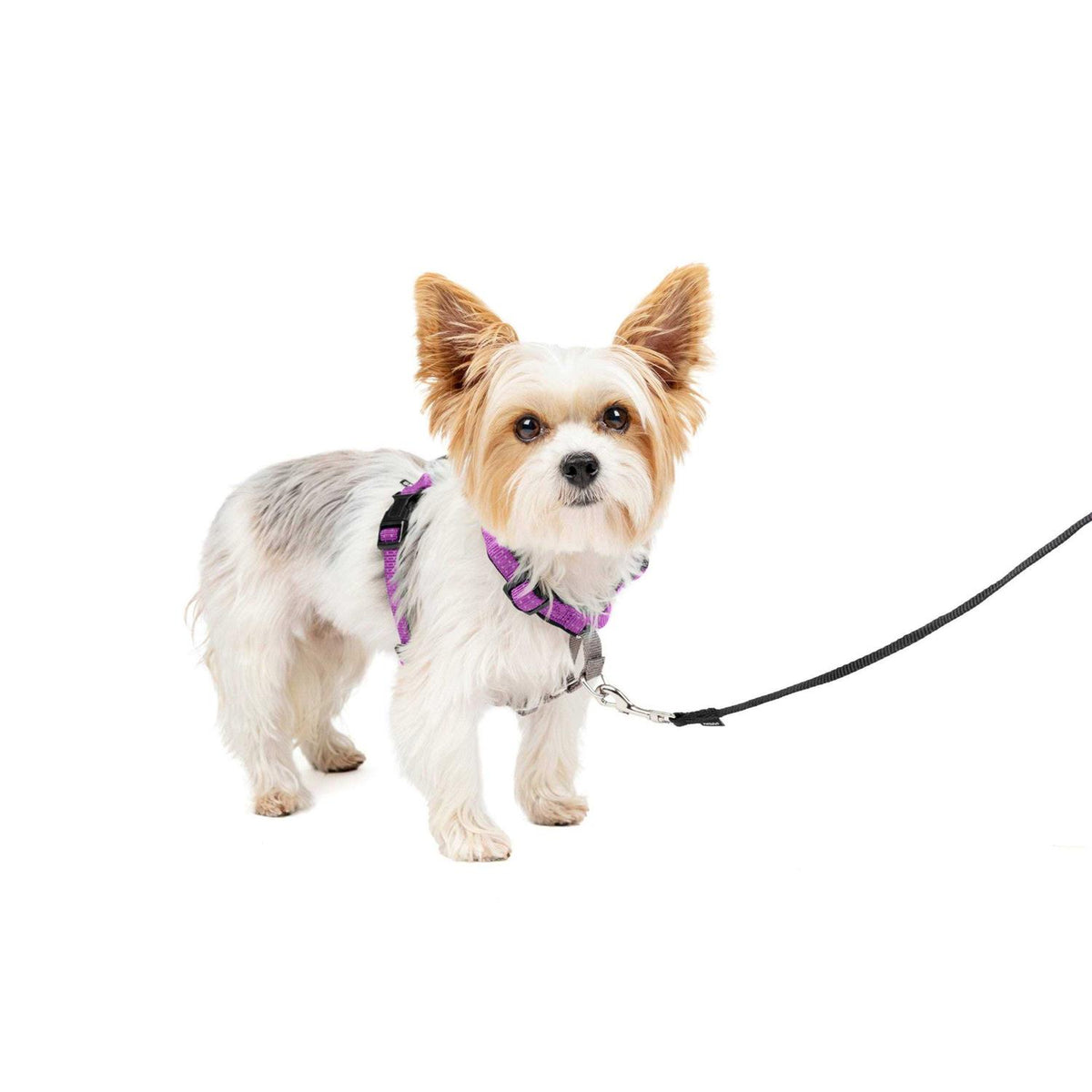 3 in 1 Harness I27500