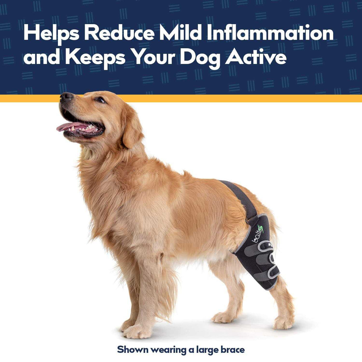 Knee Support for Dogs W152