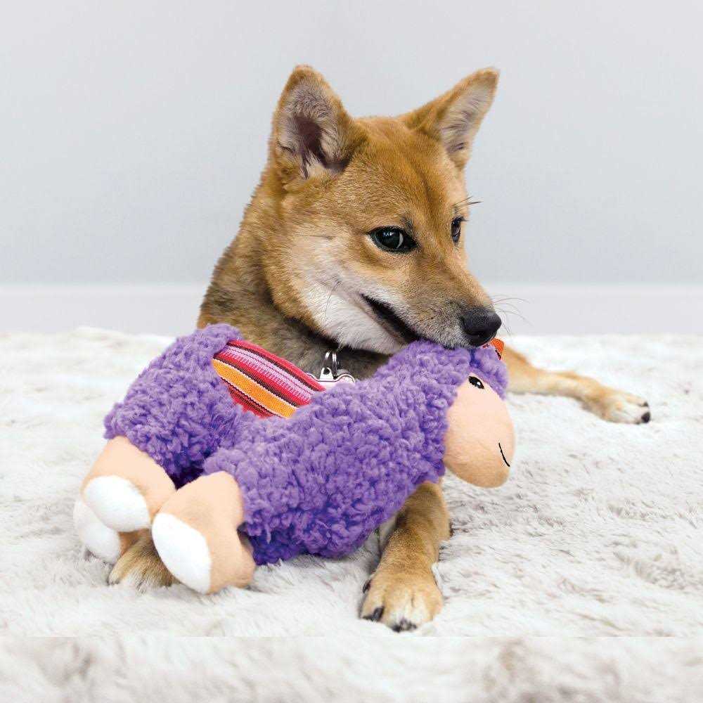 Dog Toy D5564