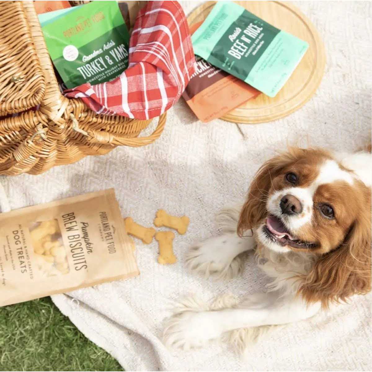 Homestyle Wet Dog Food Topper M2272