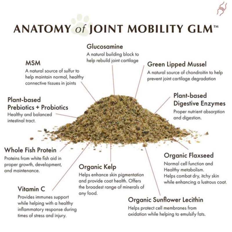 Joint Mobility with Green Lipped Mussel O44639
