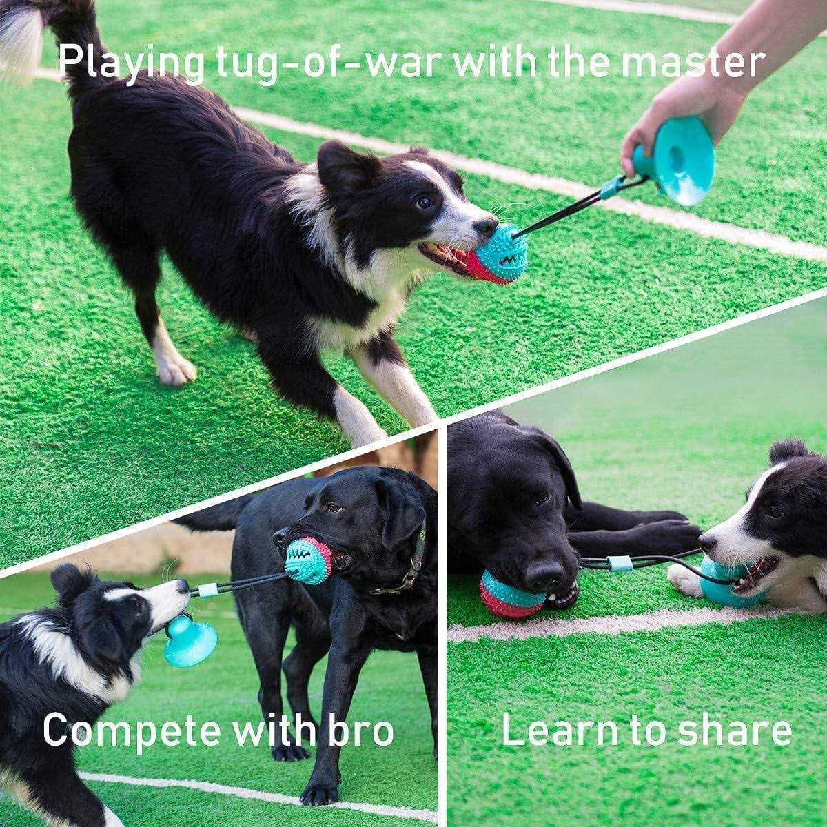 Dog Toys for Aggressive Chewers, Interactive Tug of War Toys O24554