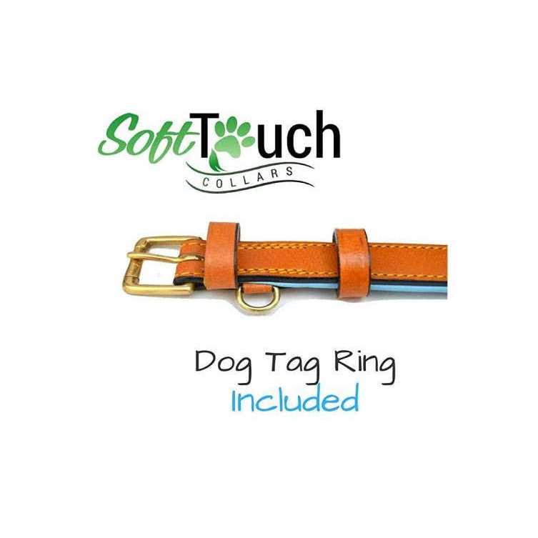Leather Dog Collar Z829