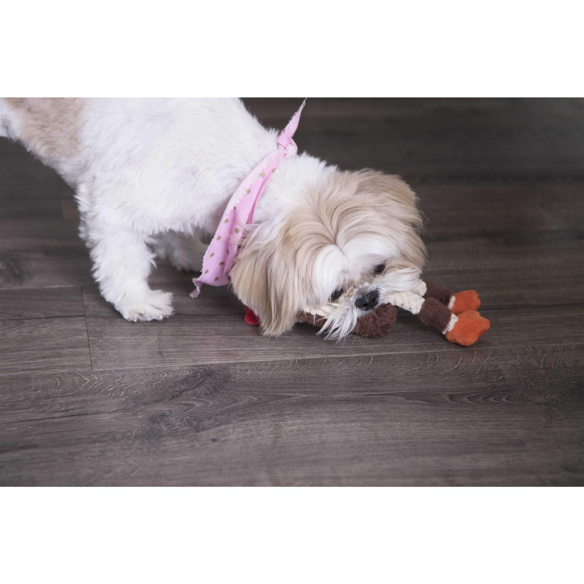 Skinny Rooster Dog Toy I41738