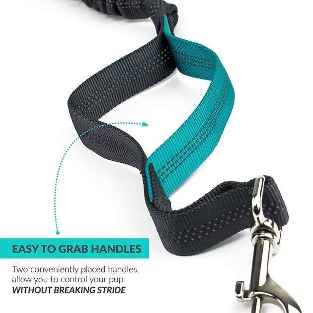 Hands Free Bungee Dog Leash H7680