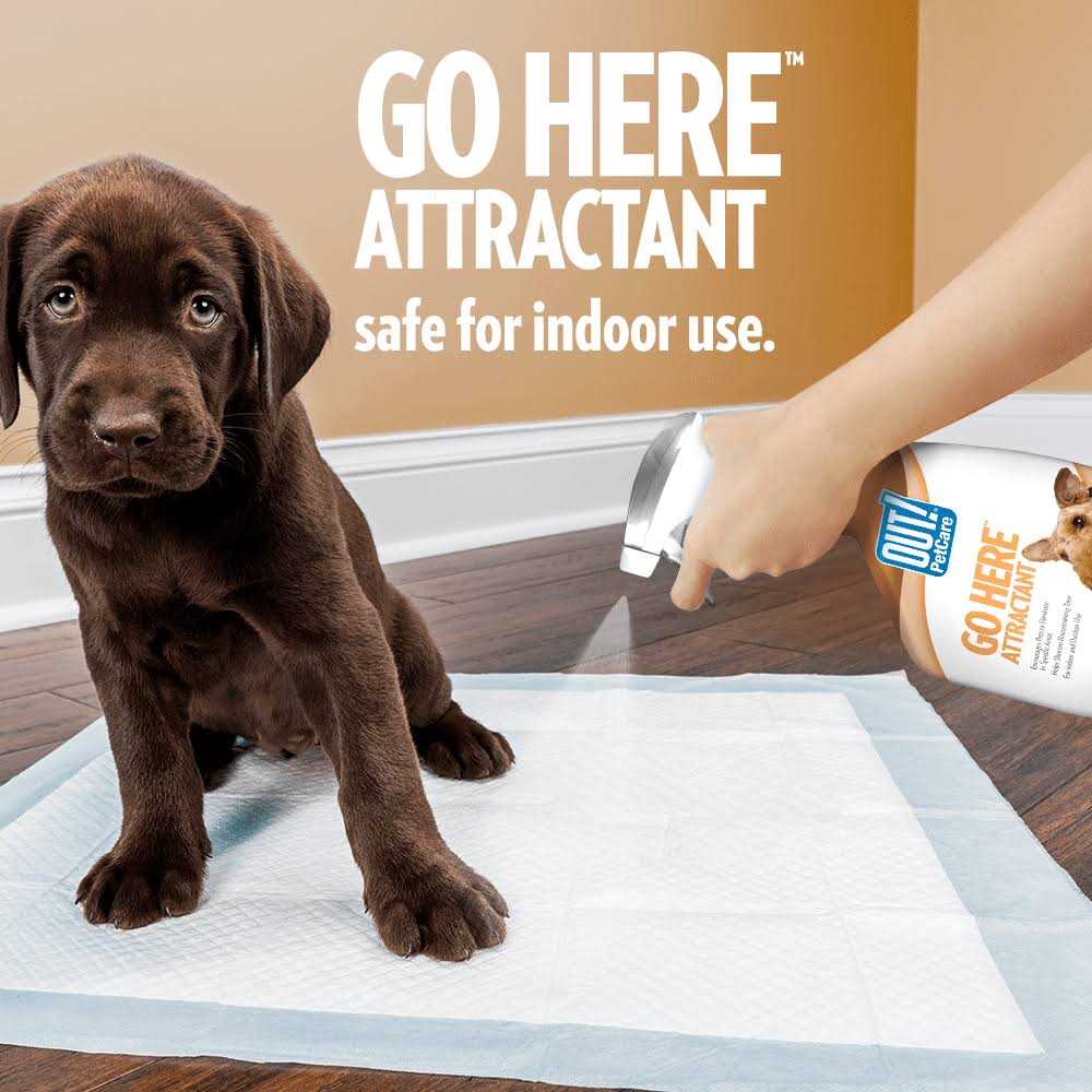 Dog Training Spray W996