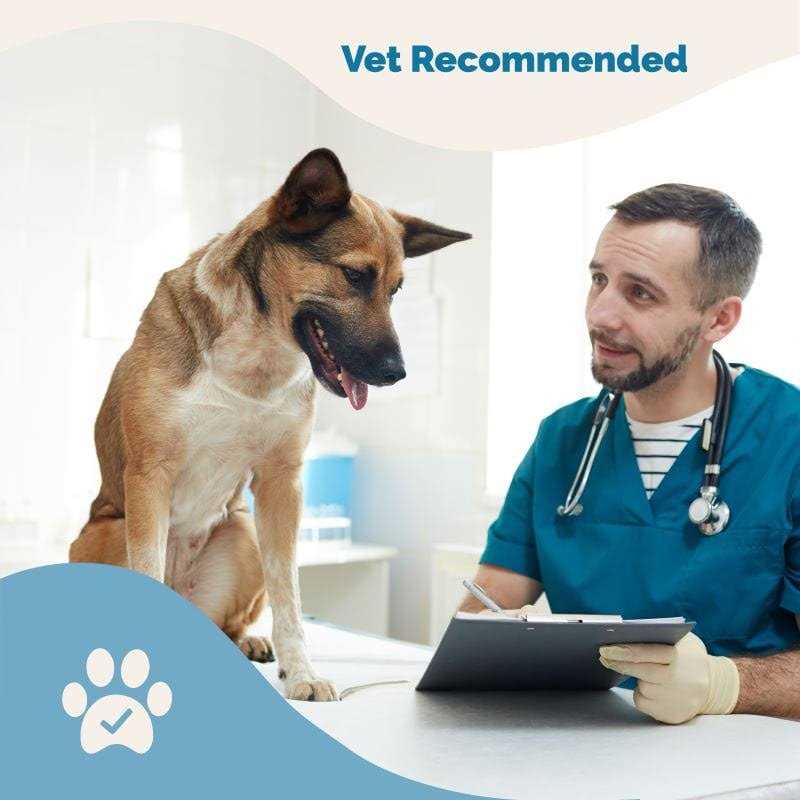 Nervous System Support for Dogs N830471