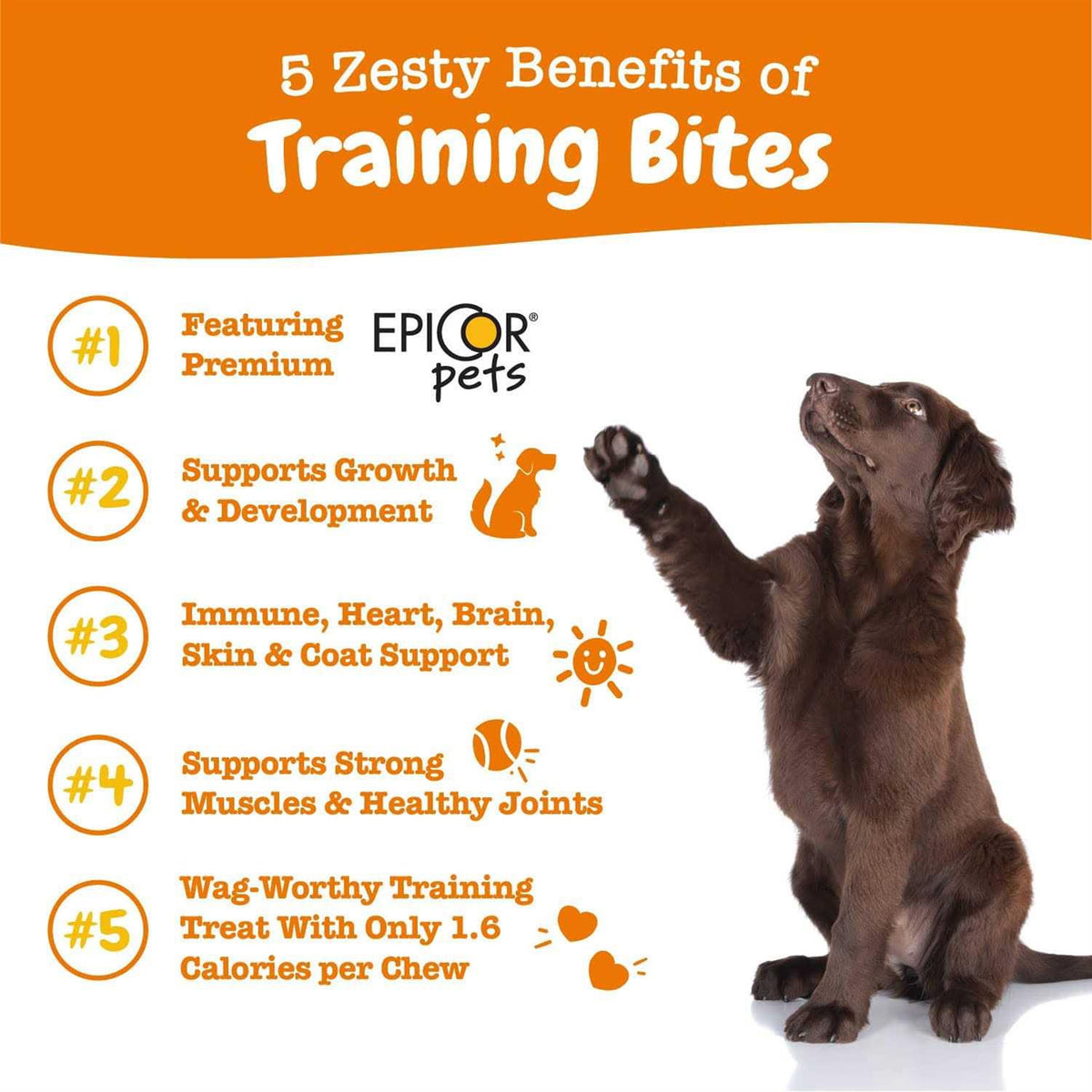 Training Treats for Dogs W1230