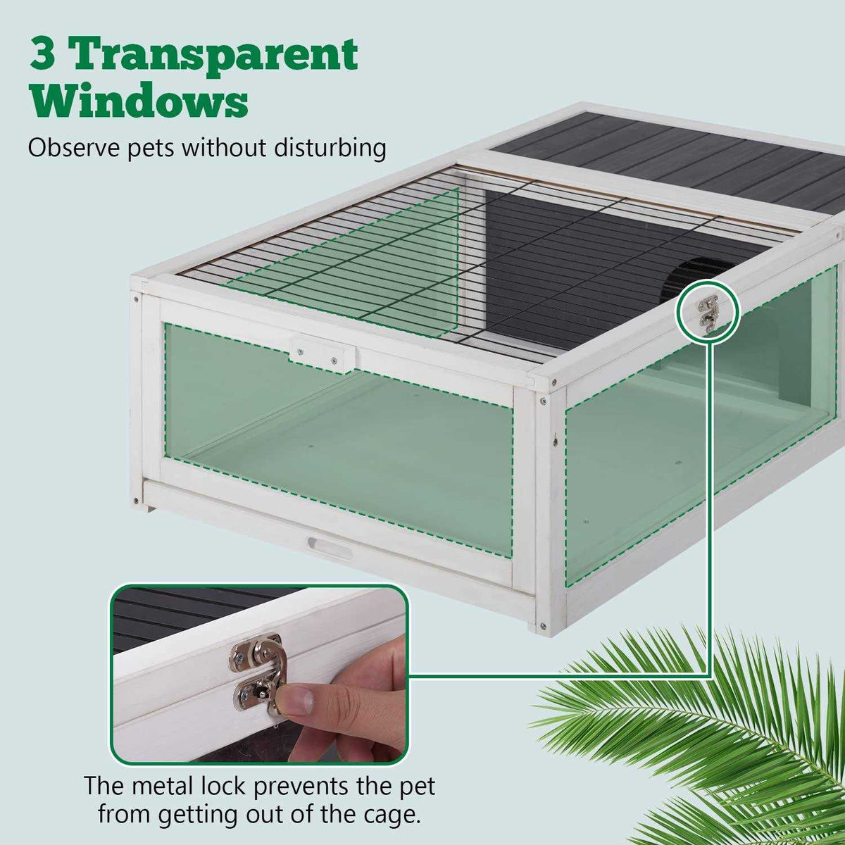 Large Transparent Wooden Tortoise Enclosure T9853